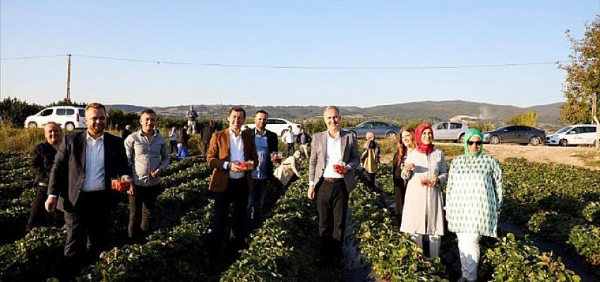 kirmizi-elmasin-unu-sinirlari-asiyor.jpg