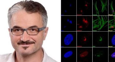 İnsanda bulunan SPATA31 geninin, yaşam uzunluğu ile orantılı olduğunu tespit edildi