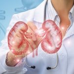 polikistik-bobrek-hastaliginin-ilerlemesini-onlemek-veya-yavaslatmak-mumkun.jpg