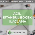 Böcek İlaçlama Firmaları İstanbul