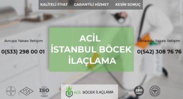 Böcek İlaçlama Firmaları İstanbul