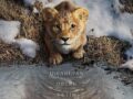 mufasa-aslan-kraldan-ilk-fragman-yayinlandi.jpg